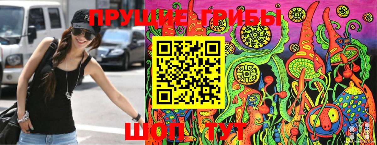 Сухой Лог  купить   Вход с VPN  Галлюциногенные грибы Magic Shrooms 
